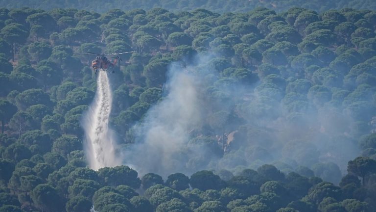 1 Haziran'dan bu yana 64 orman yangınıyla ilgili 11 şüpheli tutuklandı