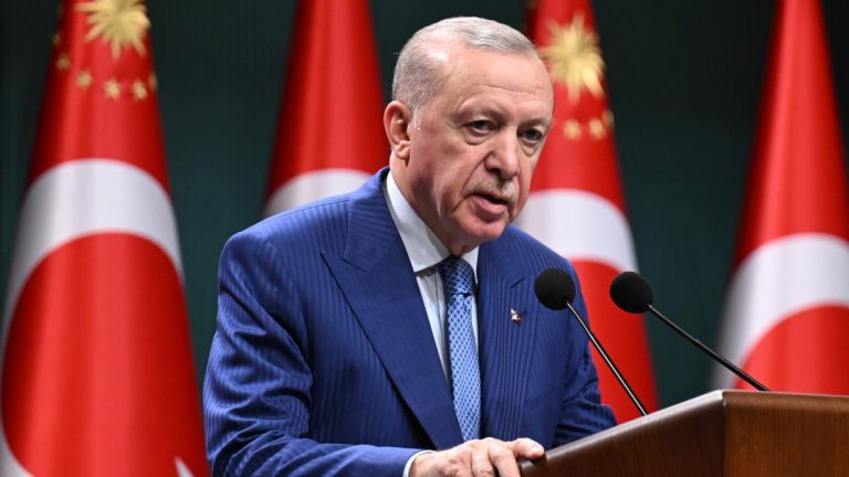 Cumhurbaşkanı Erdoğan: Türkiye'yi ve Türk milletini kutlu mücadelesinden hiç kimse vazgeçiremeyecektir