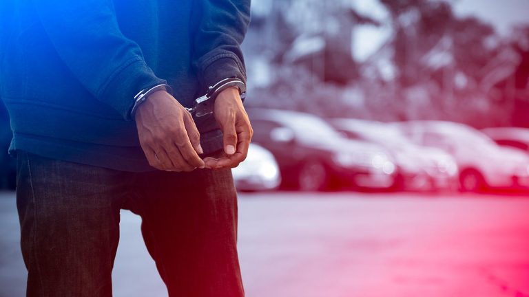 Adana merkezli sigorta dolandırıcılığı operasyonu: 77 gözaltı