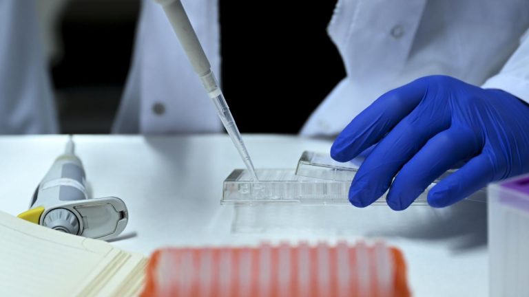 14 ilde yasa dışı üreme hücresi ticareti operasyonu: 36 gözaltı